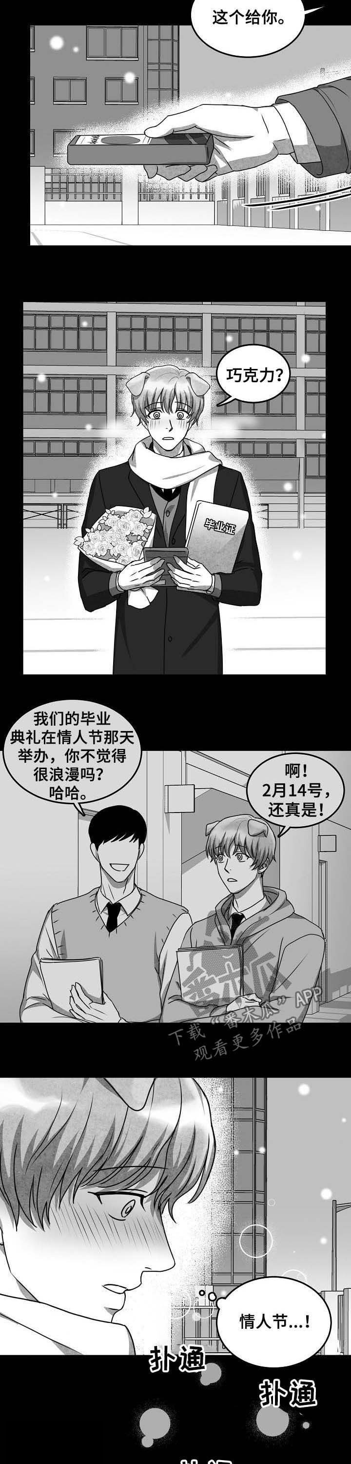 第37章：没有勇气