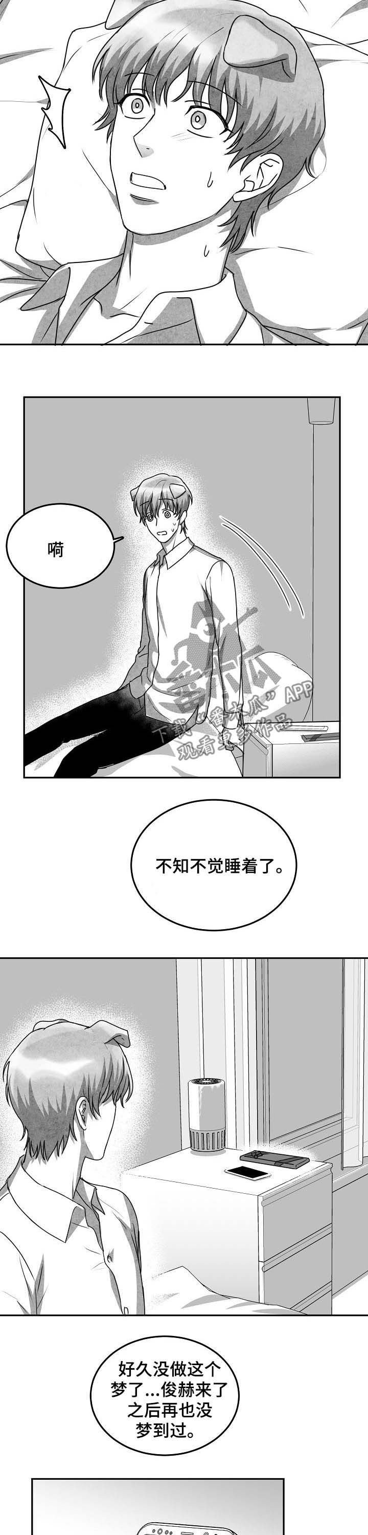 第37章：没有勇气