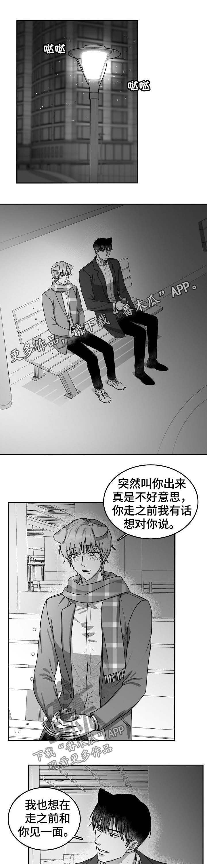 第38章：表白