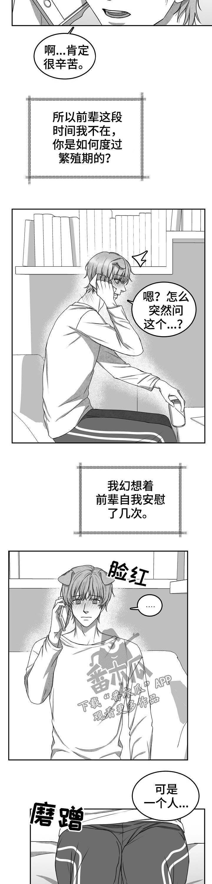第39章：打电话