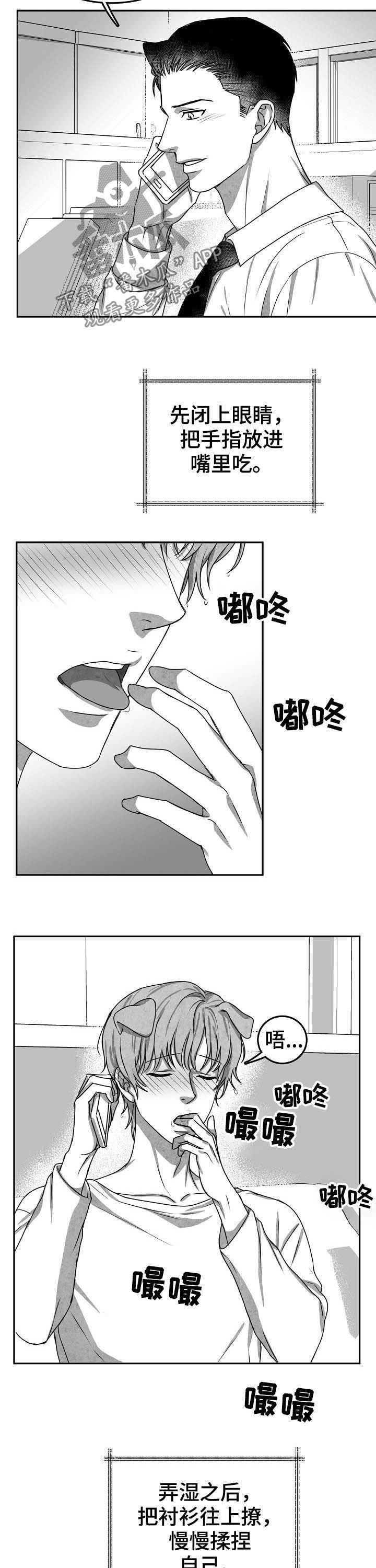 第39章：打电话