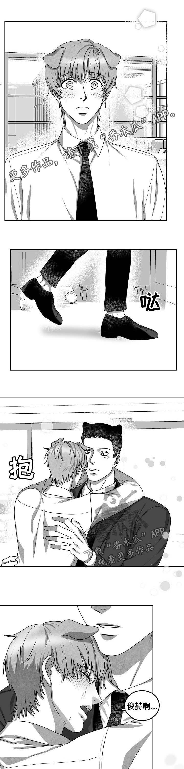 第41章：求婚（完结）
