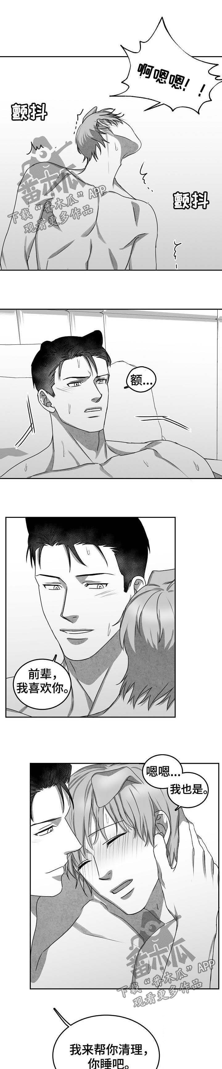 第41章：求婚（完结）