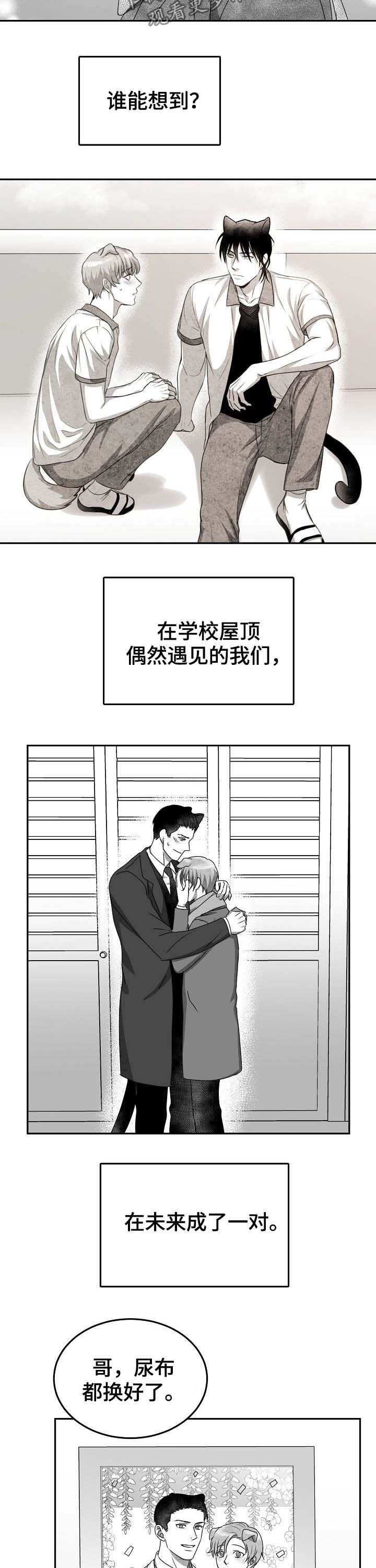 第41章：求婚（完结）