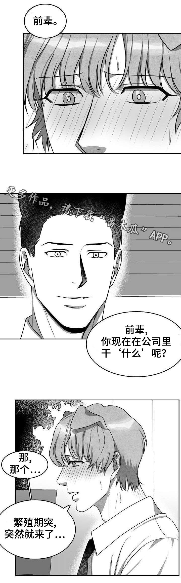 第5章：不敢面对