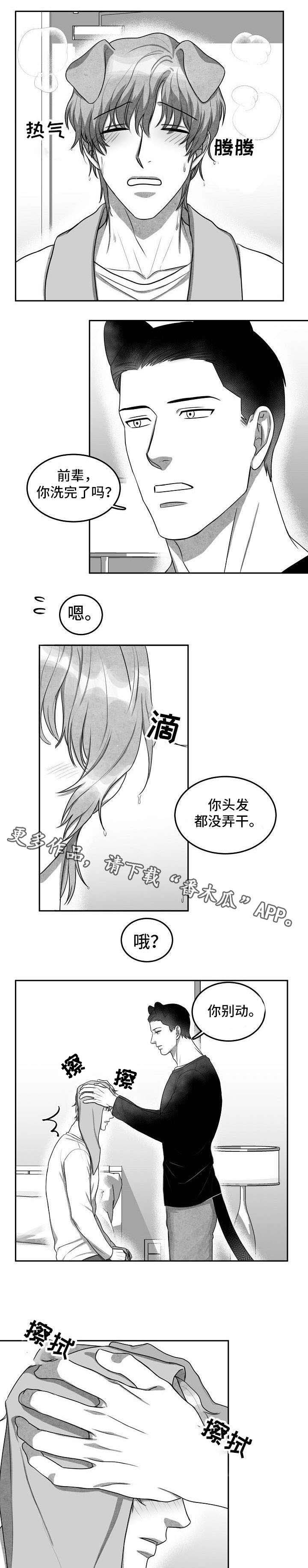 第8章：你先休息吧