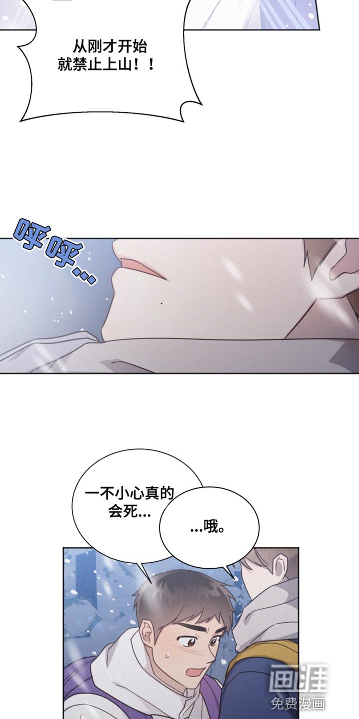 第146章：【第二季】我喜欢你