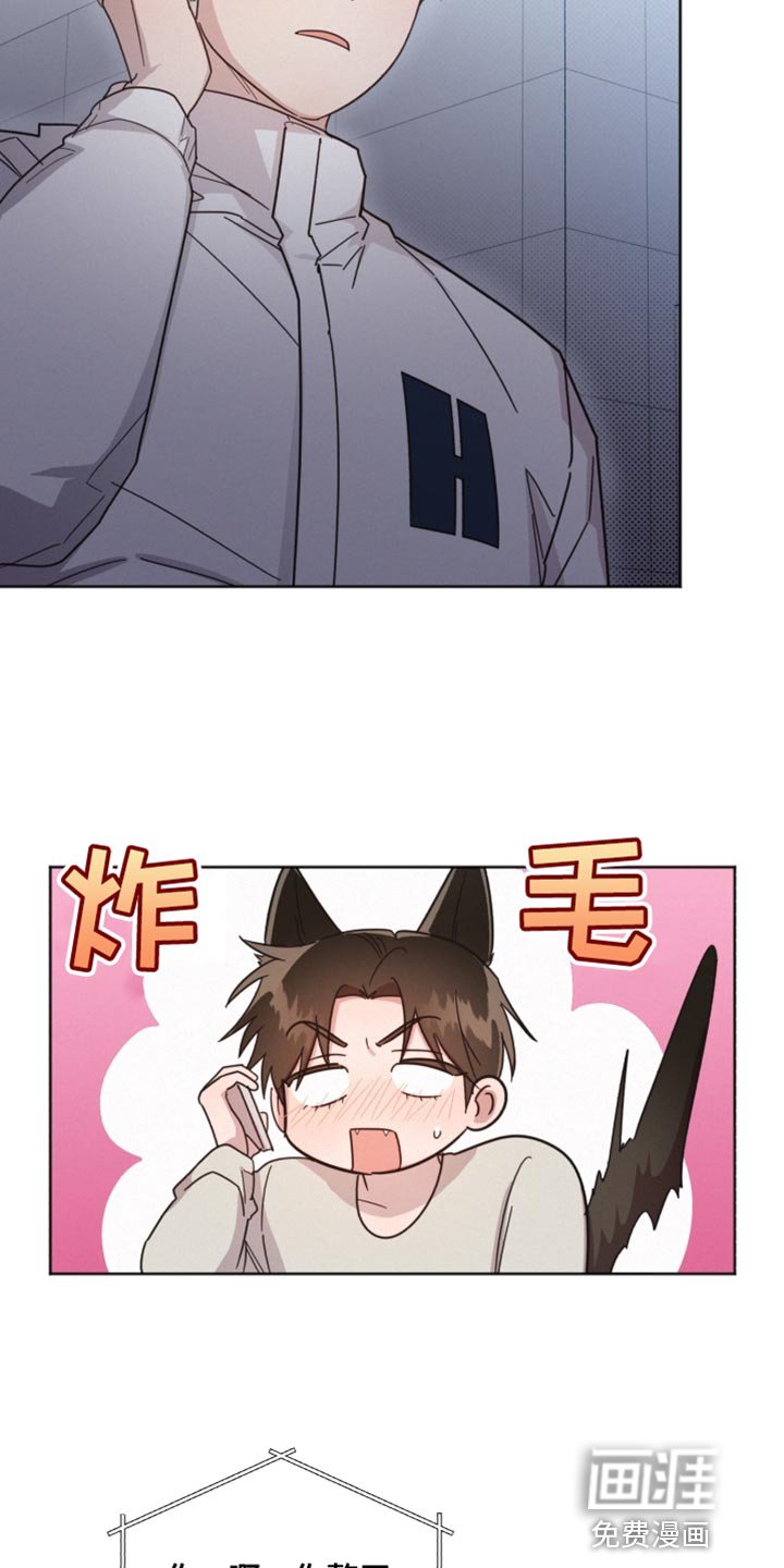 第149章：【第二季】不要喜欢我