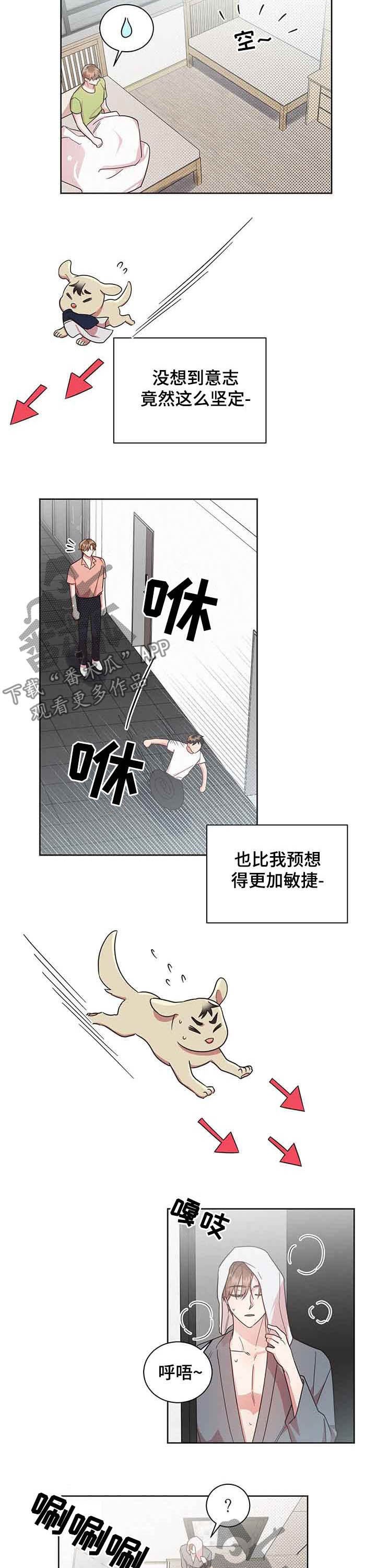 第31章：追着他跑