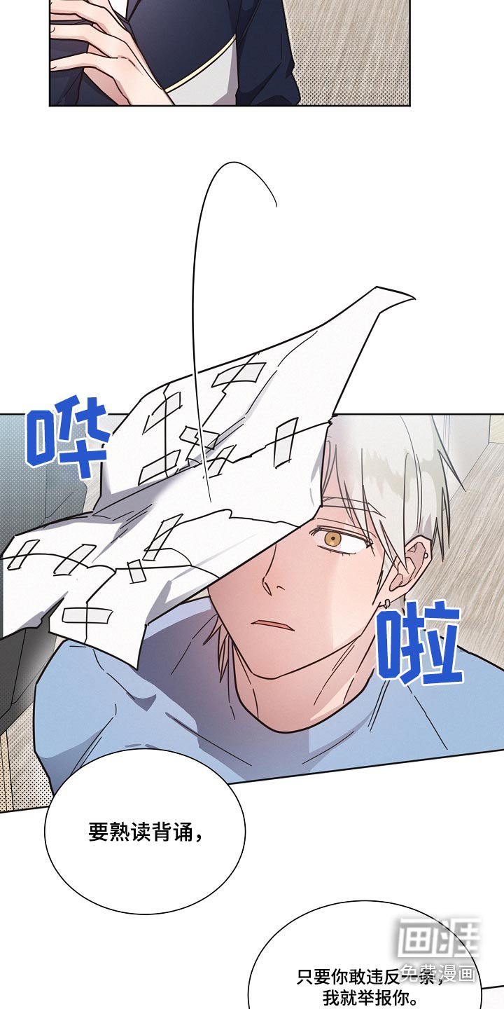 第95章：【第二季】规则