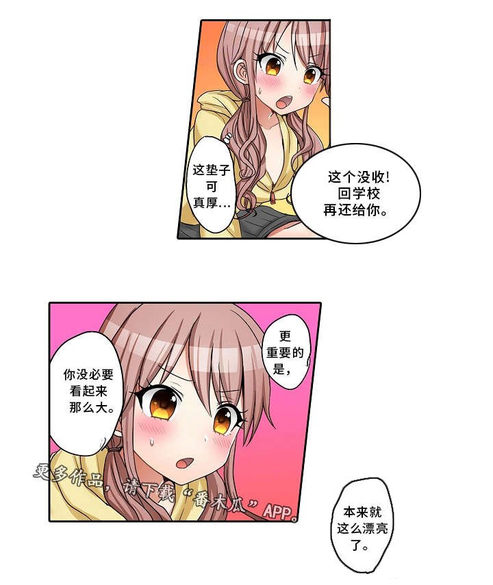 第24章：替代