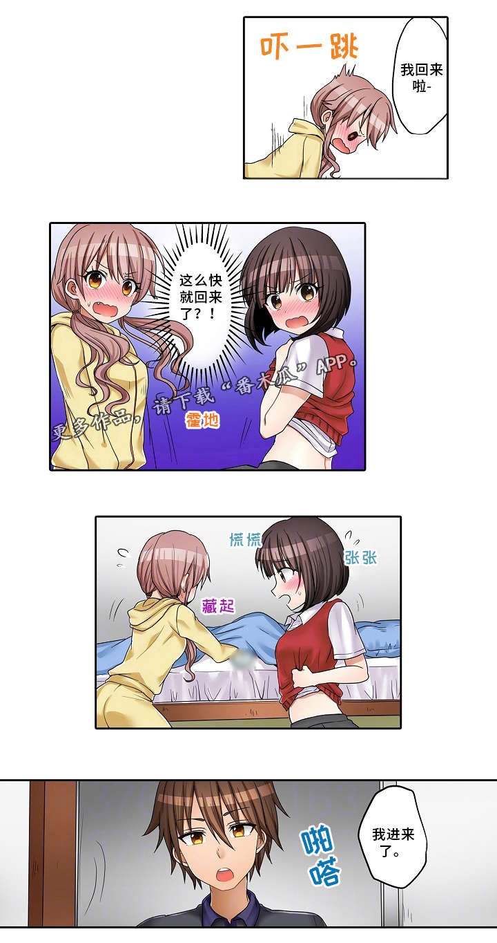 第24章：替代