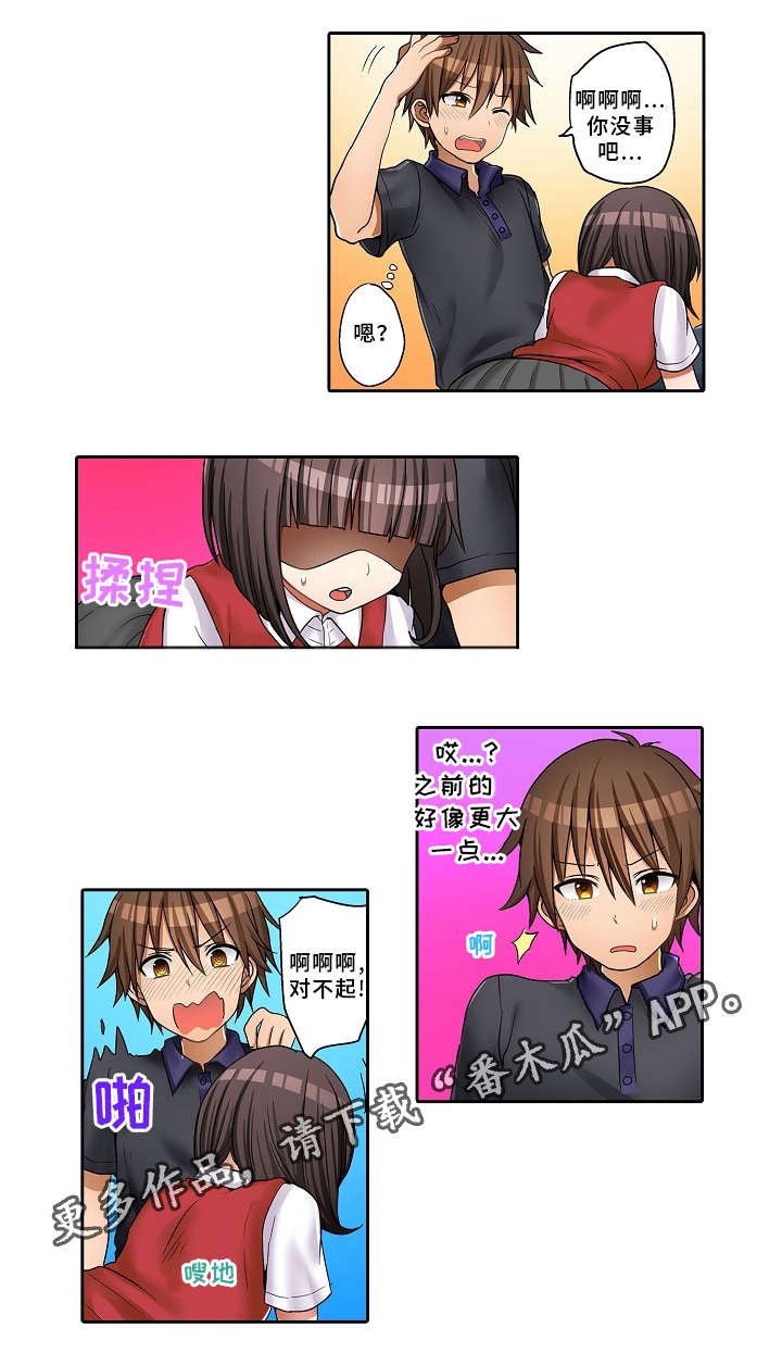 第24章：替代