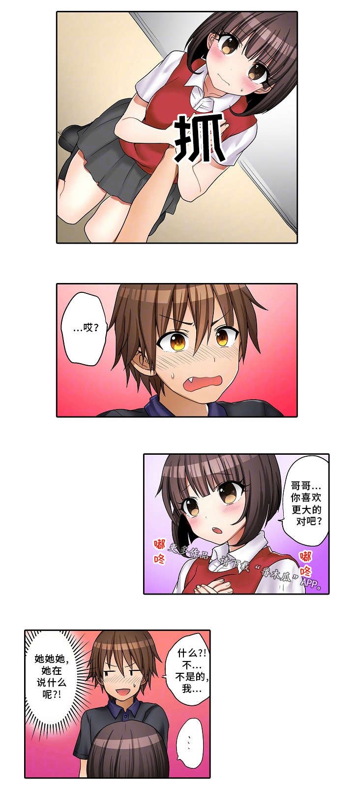 第24章：替代