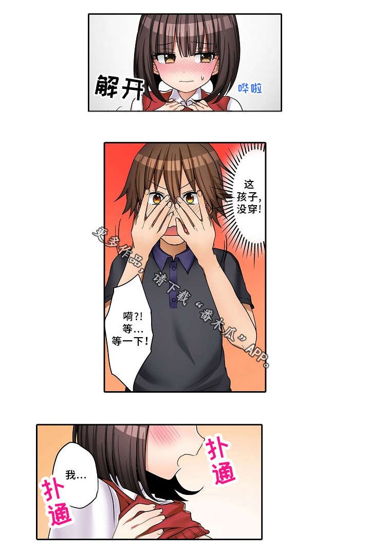 第24章：替代