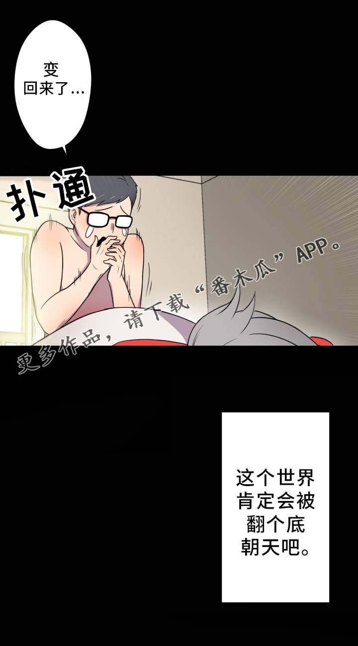 第3章：查阅资料