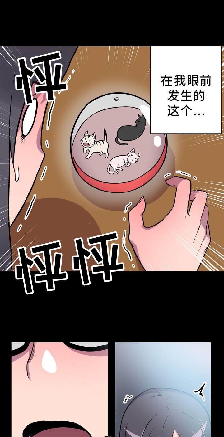 第5章：展示能力