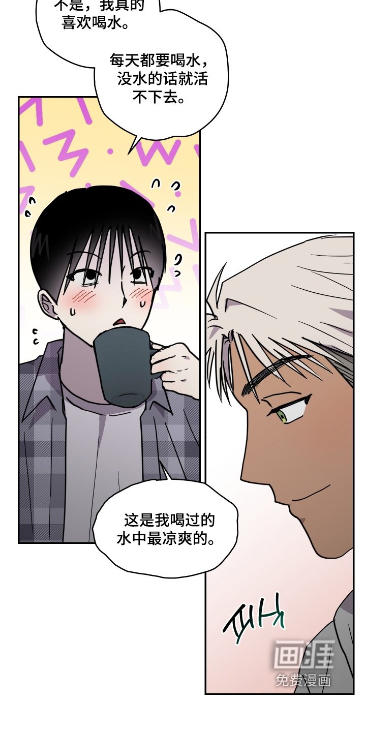 第43章：所以补偿【完结】