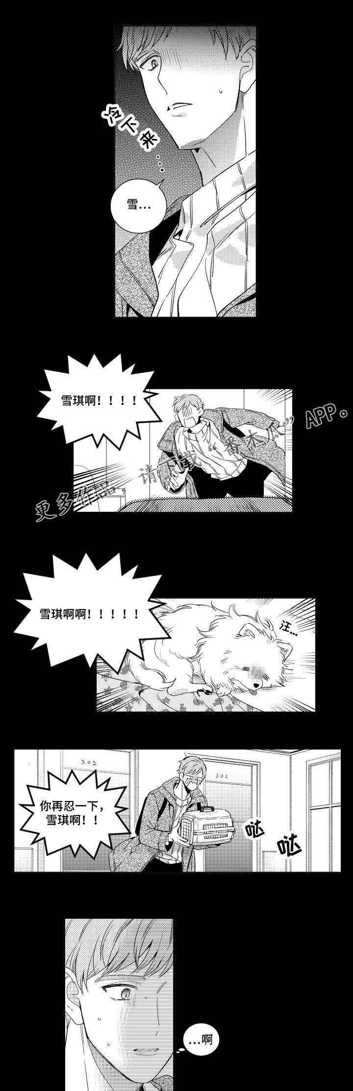 第10章：道歉