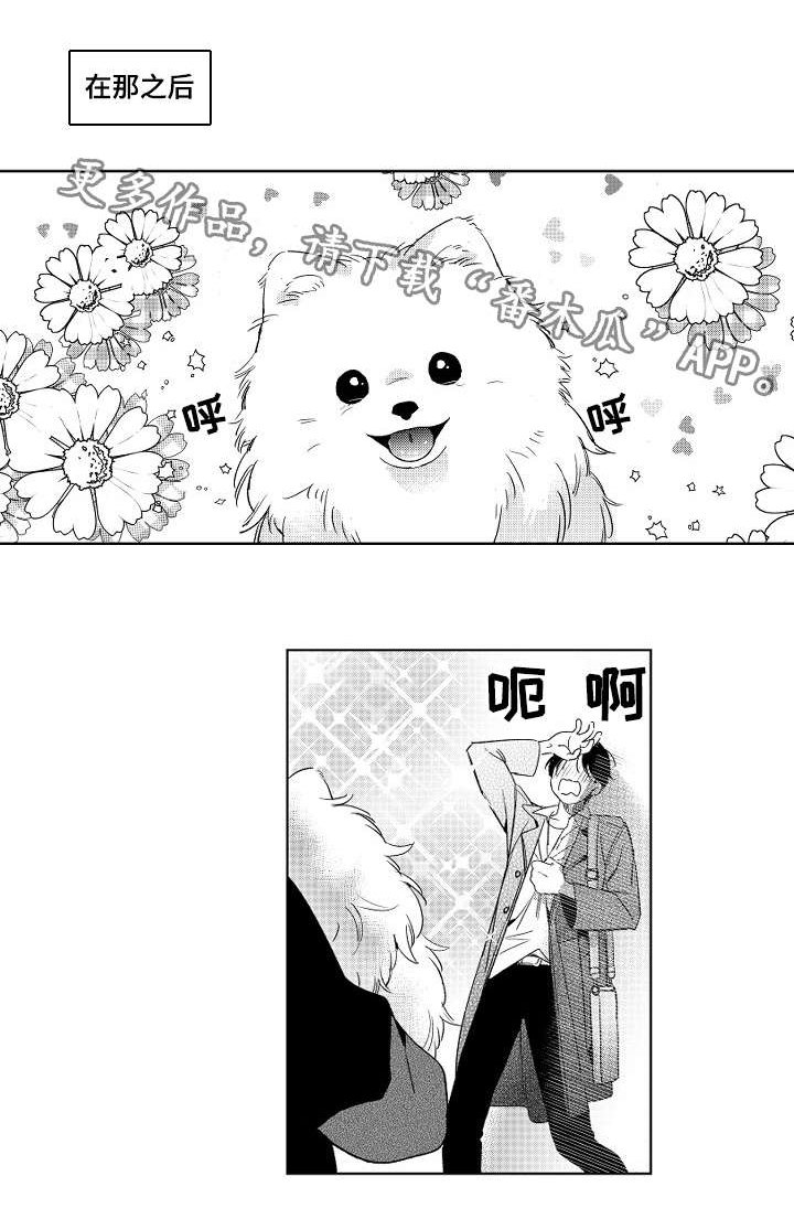 第11章：撒谎