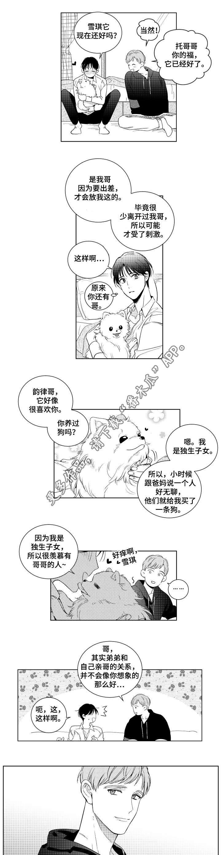 第11章：撒谎