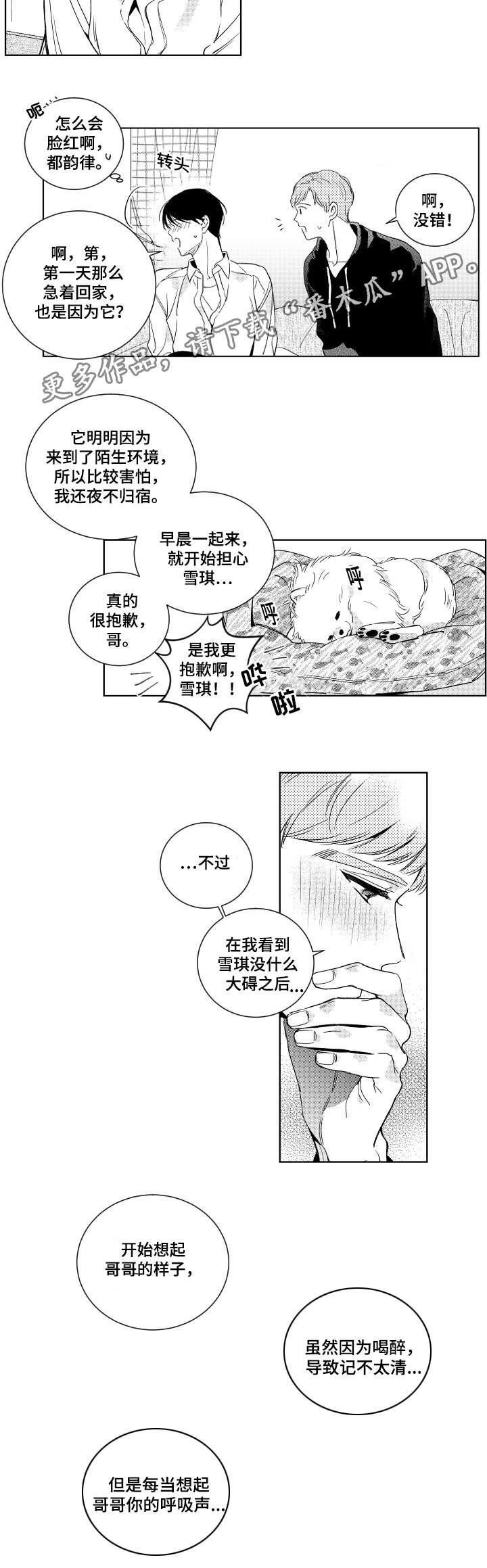 第11章：撒谎