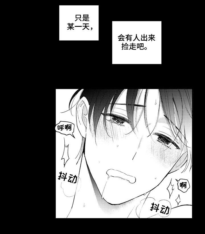 第111章：【番外】可怜
