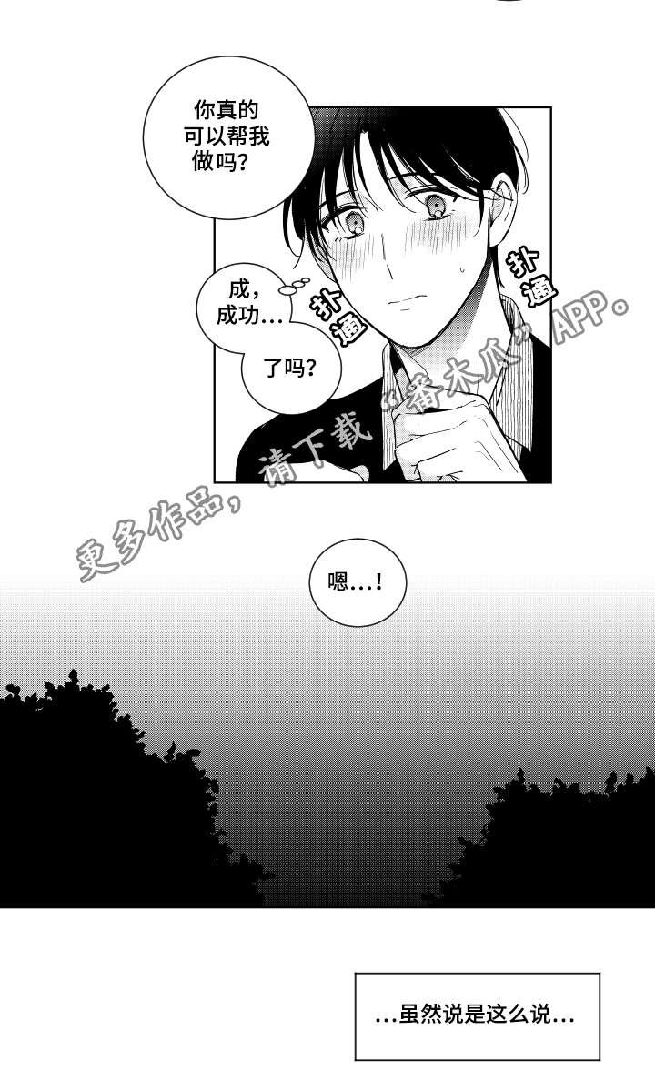 第19章：提议