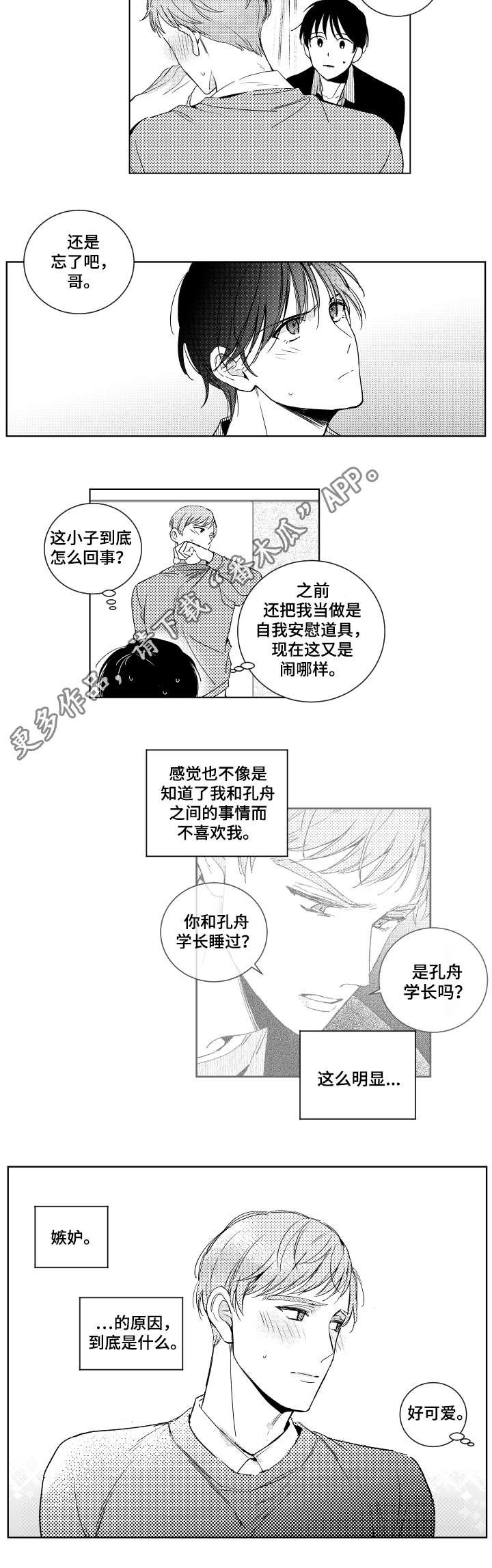 第19章：提议