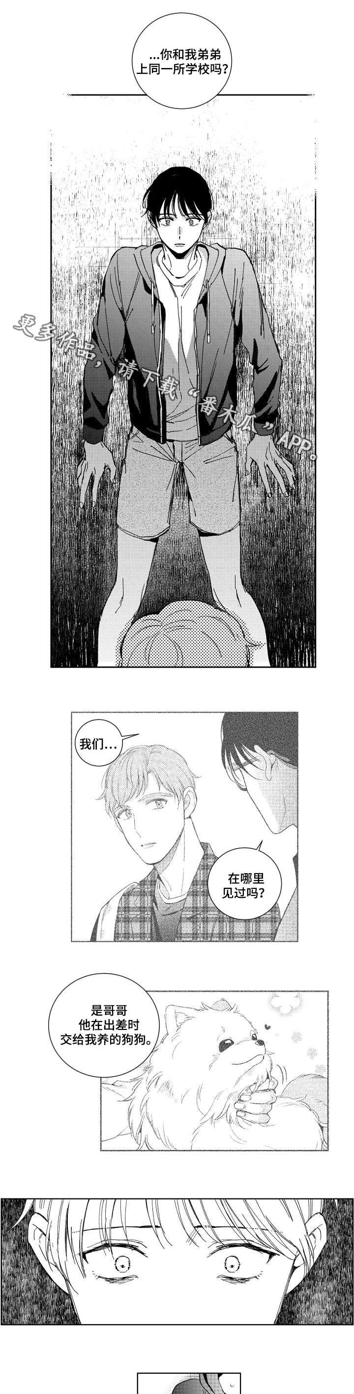 第25章：意外
