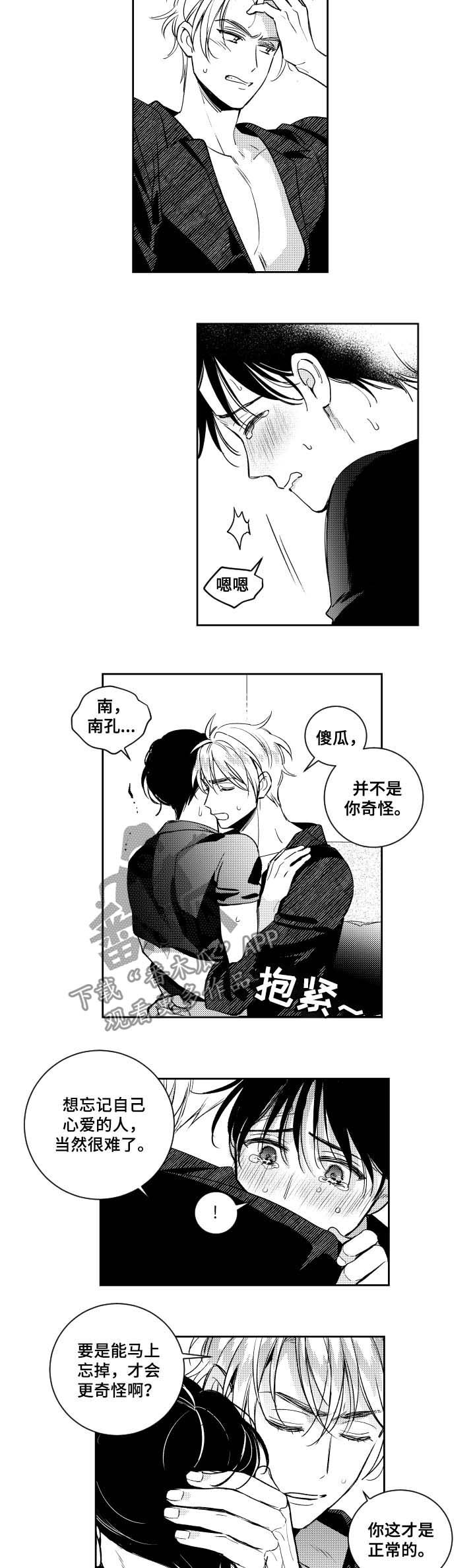 第49章：后果