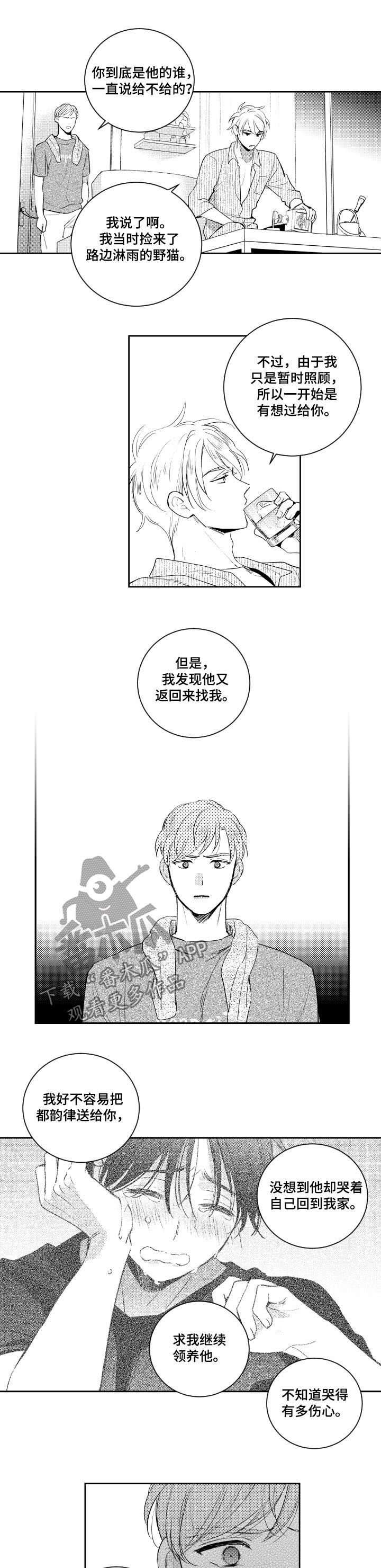 第76章：野猫