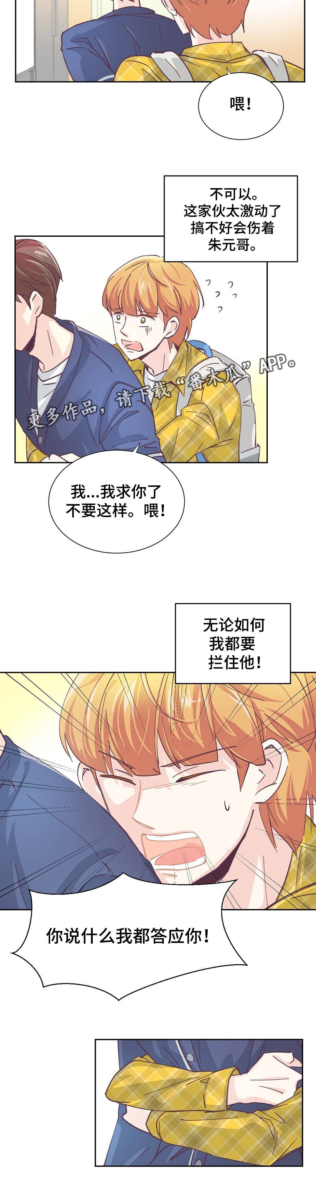 第4章：我的条件