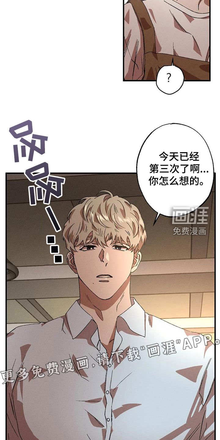 第116章：【番外】魅力