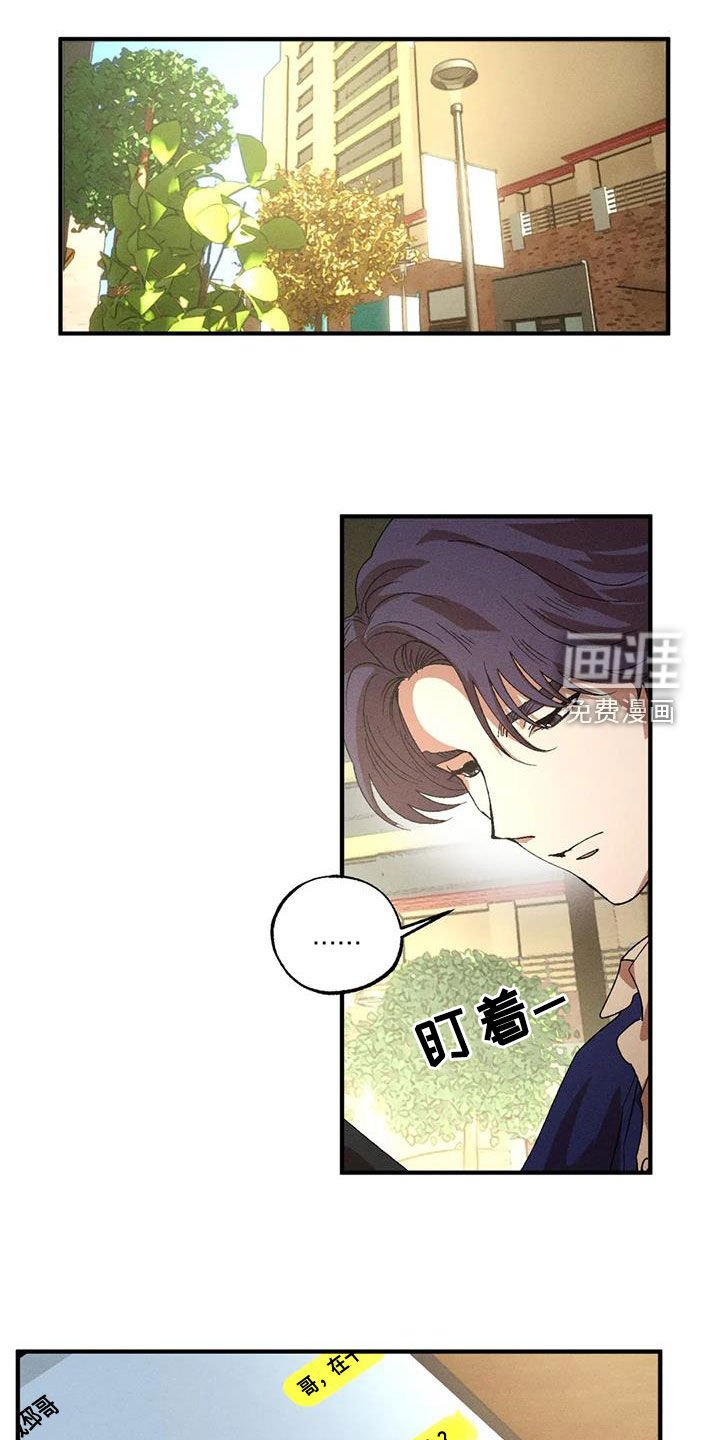 第119章：【番外】感情苦恼