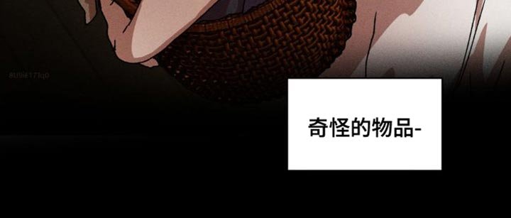 第131章：【番外】奇怪的物品
