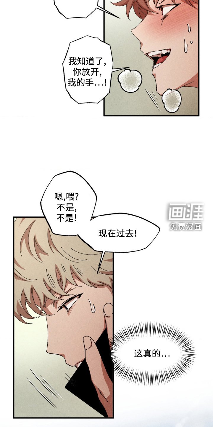 第133章：【番外】感觉