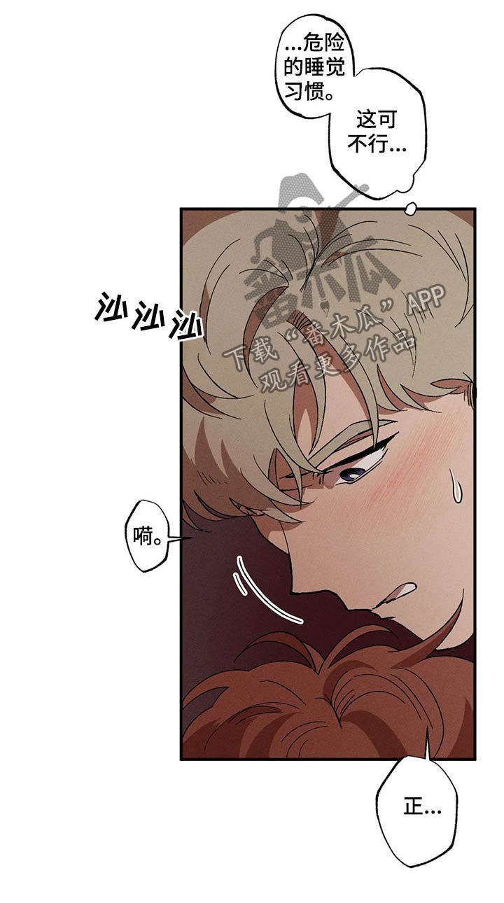 第16章：在意
