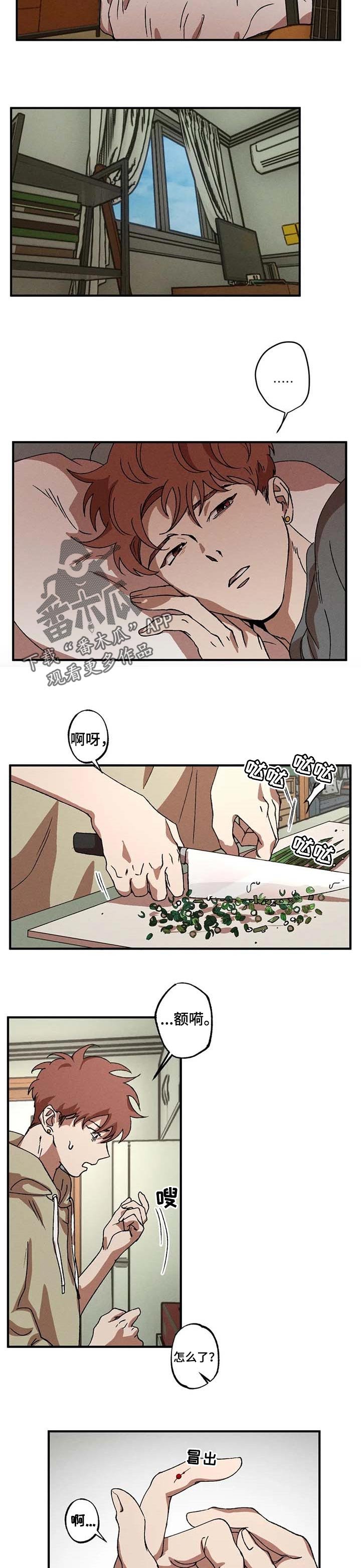 第26章：解离