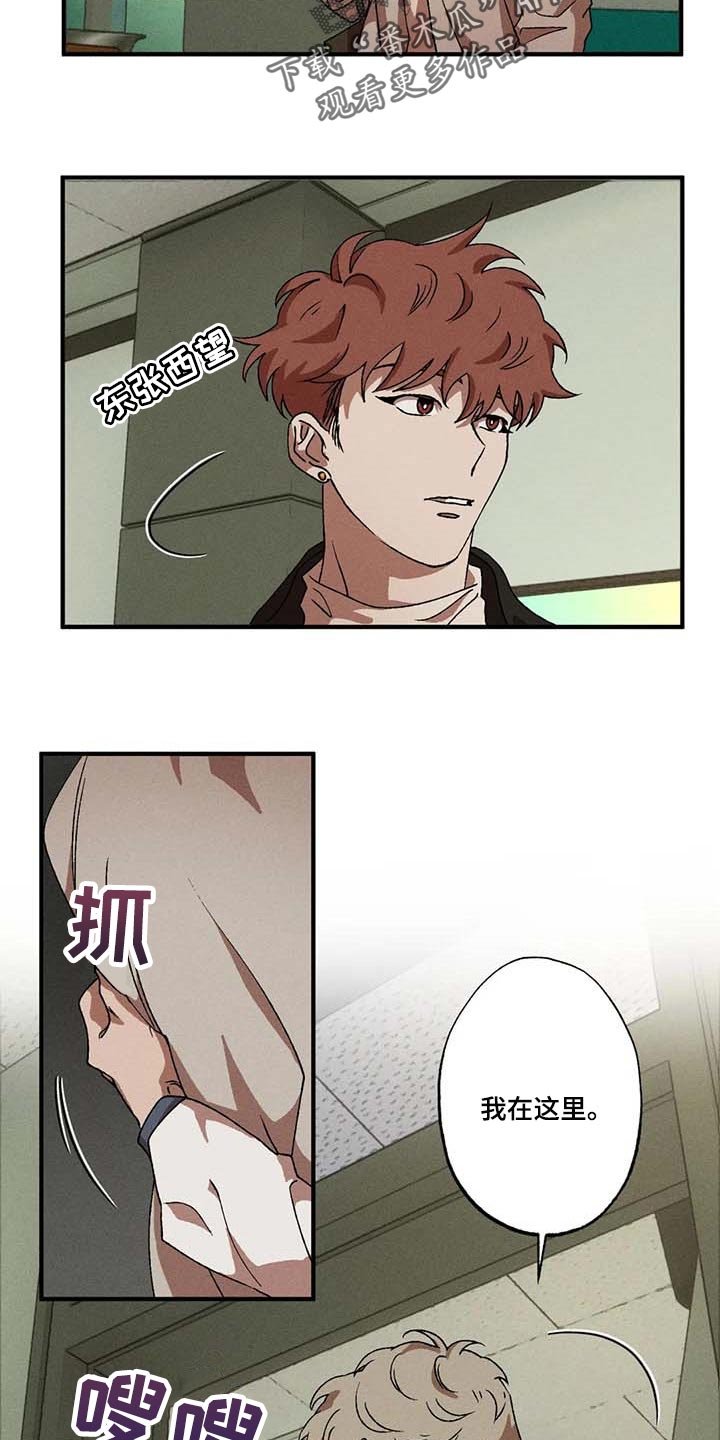 第51章：计划