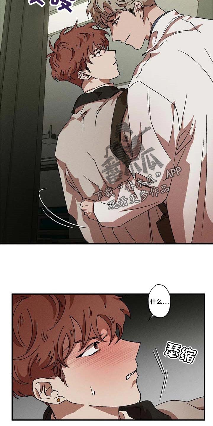 第51章：计划
