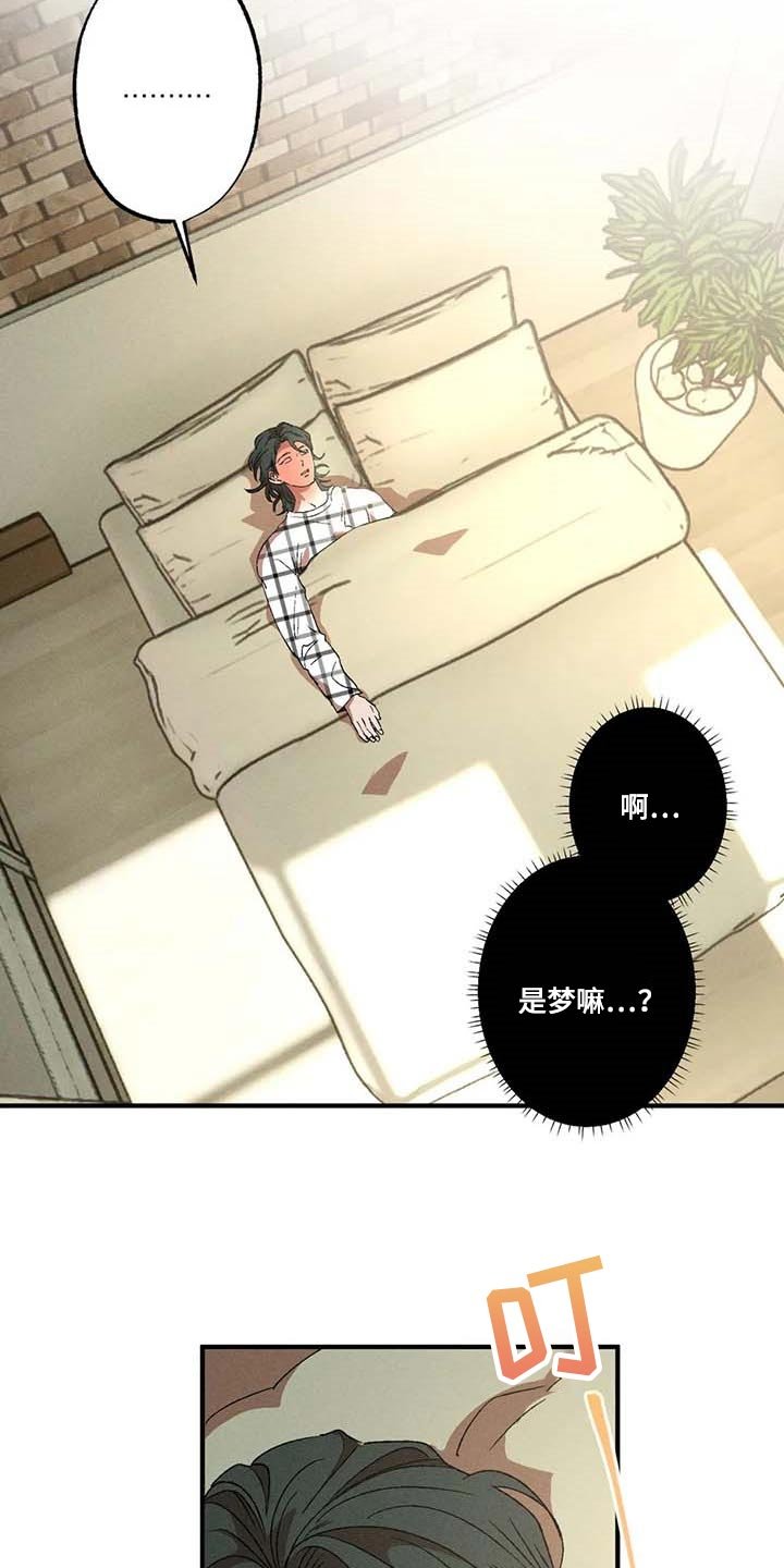 第55章：说谎