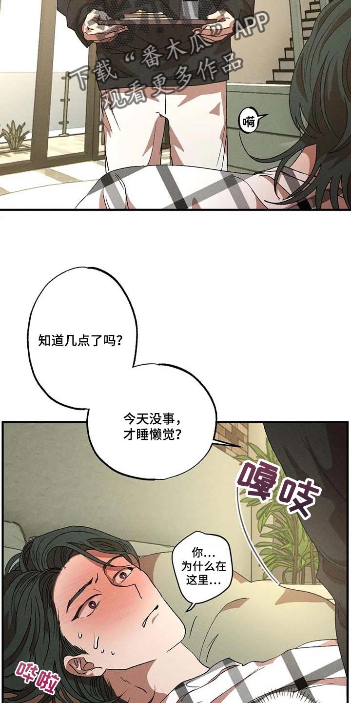 第55章：说谎