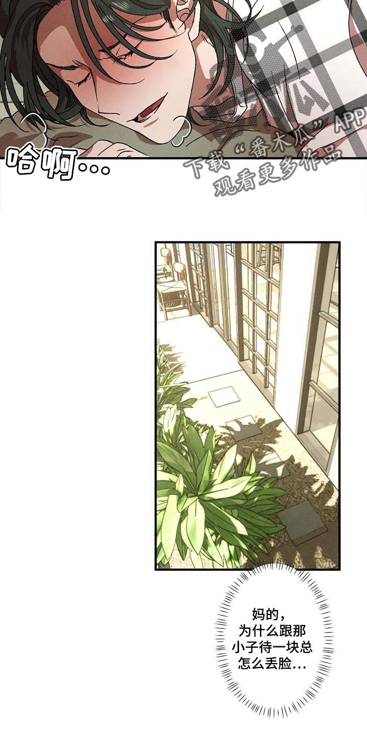 第55章：说谎