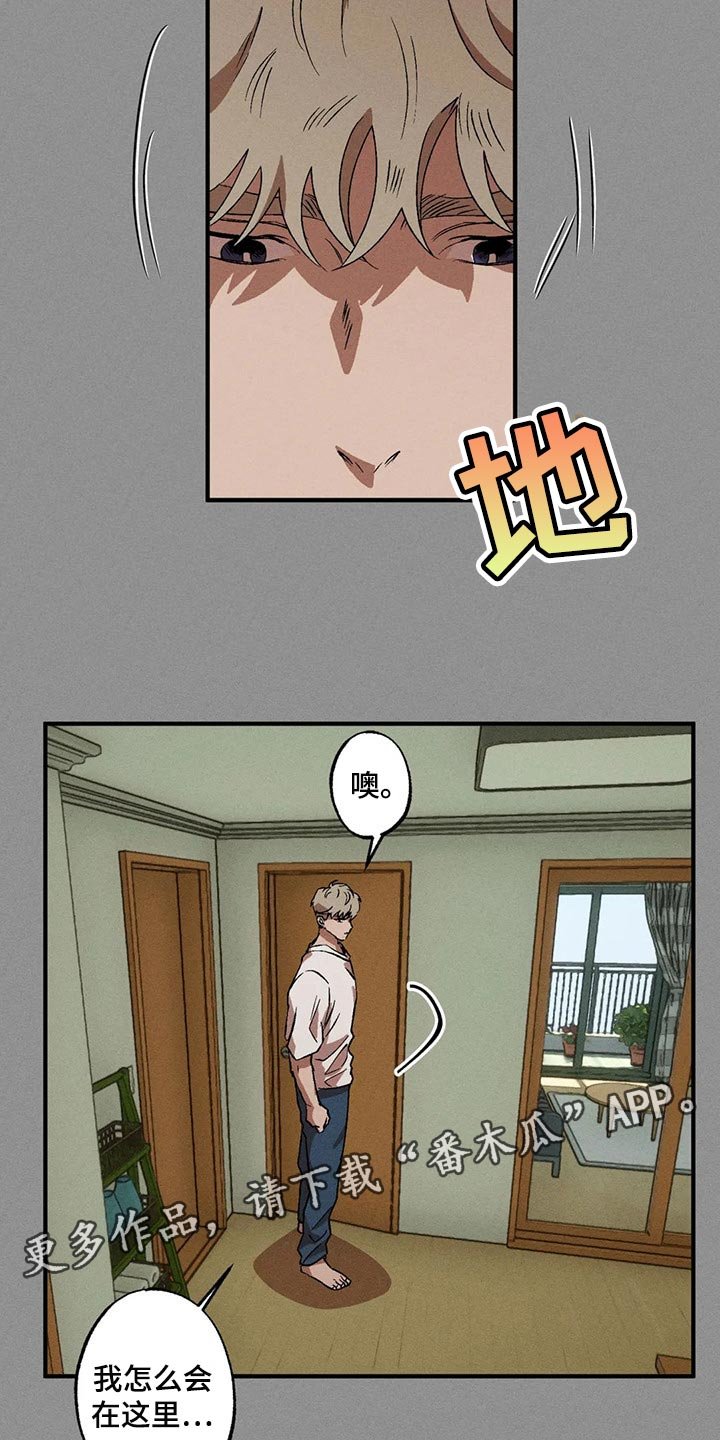 第59章：偷看那边的世界