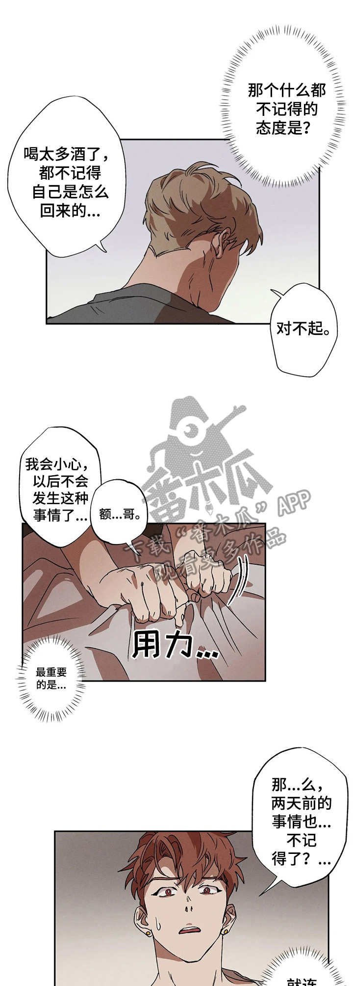 第6章：咨询
