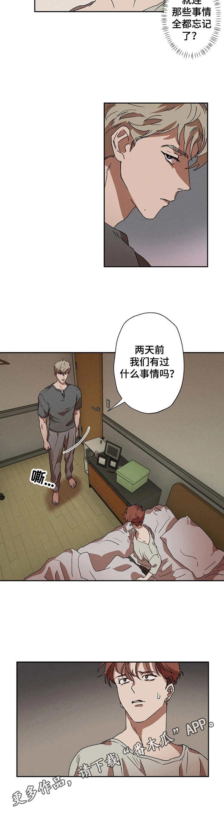 第6章：咨询