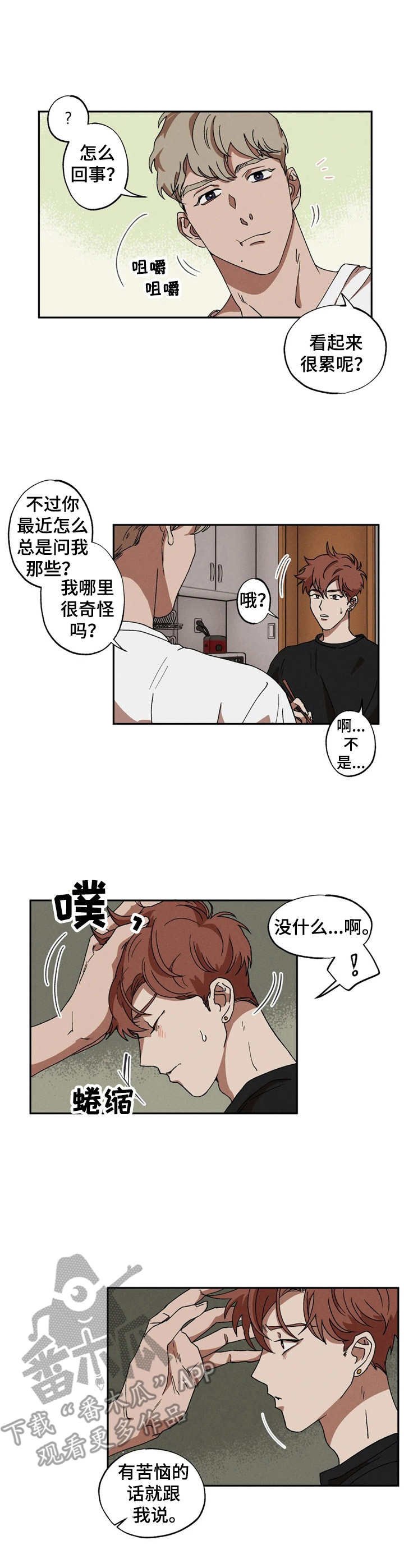 第6章：咨询