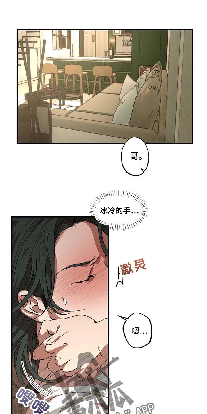 第61章：理想型