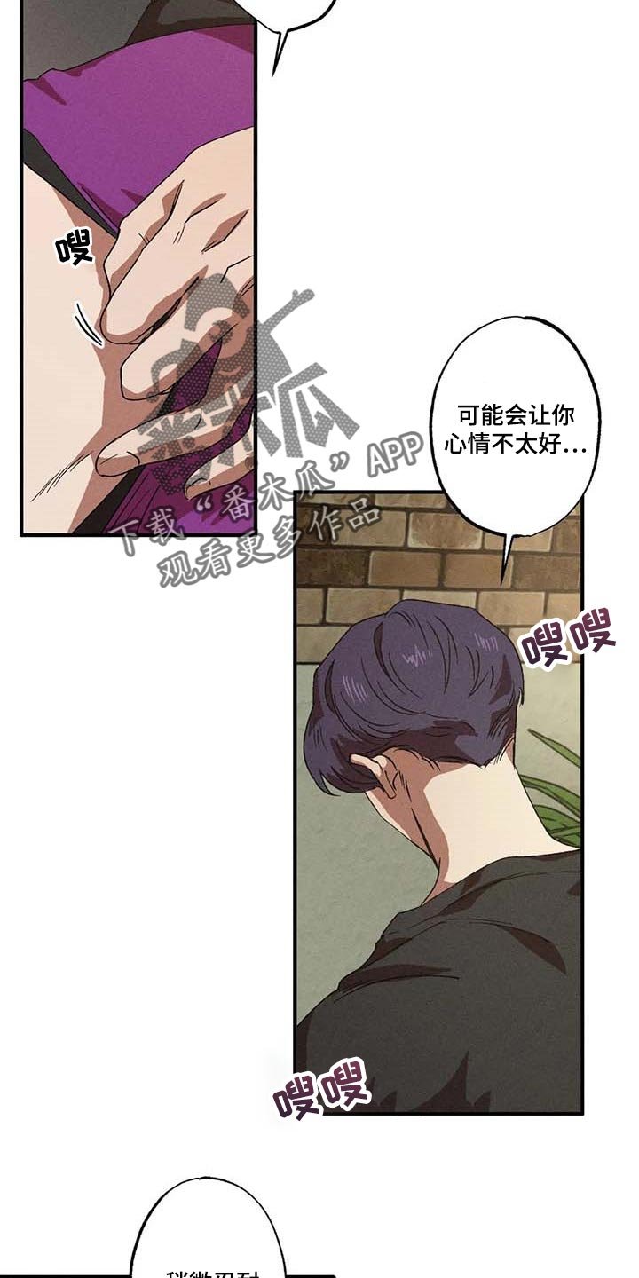 第61章：理想型